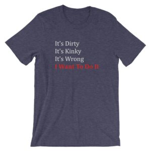 Blue it's dirty, it's kinky, it's wrong and I want to do it t-shirt