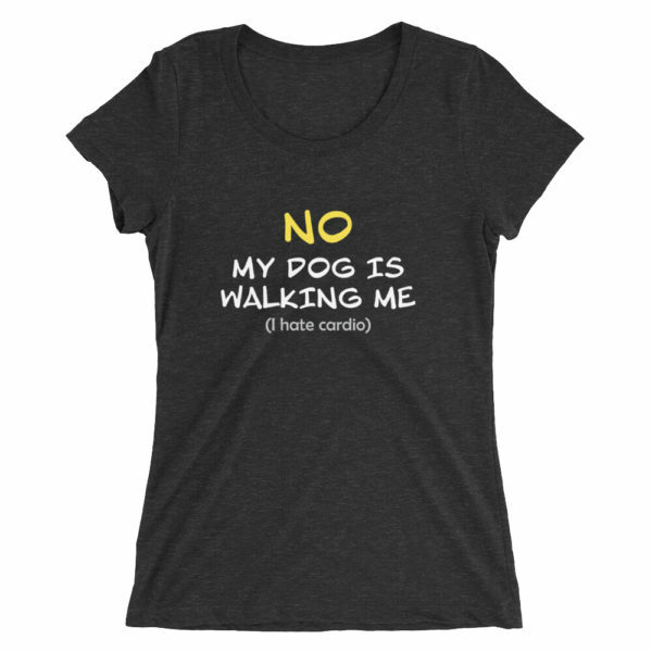 My dog is walking me - Image 2