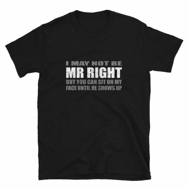 I may not be mr right but you can sit on my face until he shows up - Black Mens T-shirt