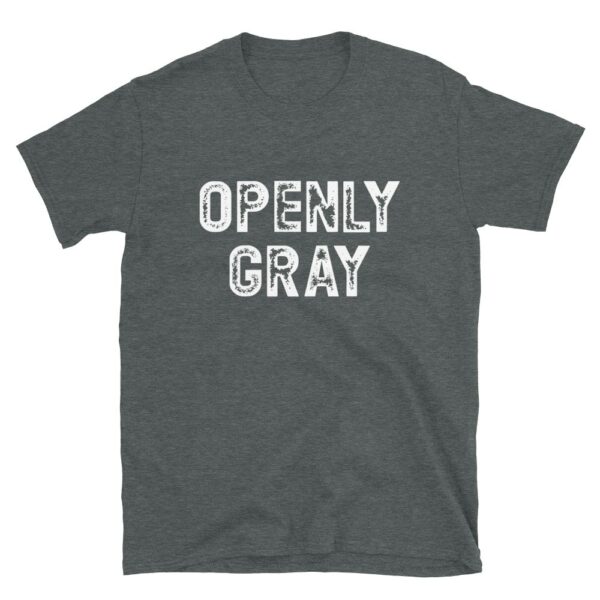 Openly Gray T-Shirt - Image 2