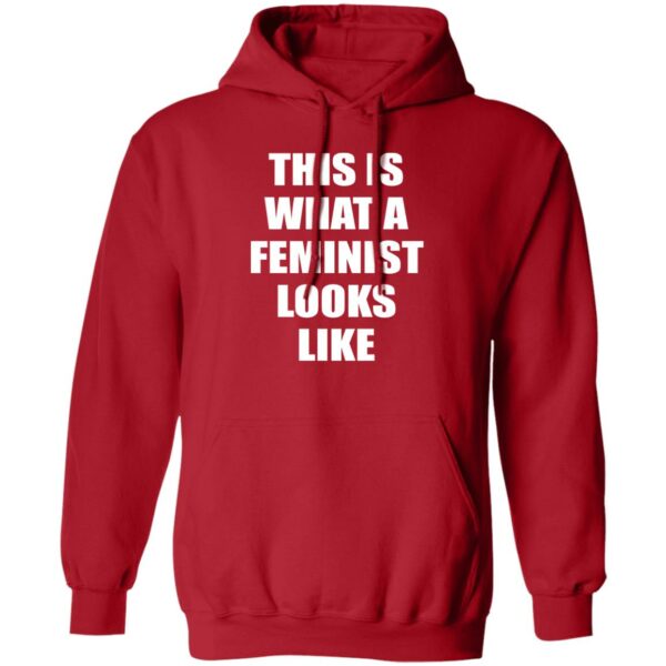 This is What A Feminist Looks Like  Pullover Hoodie - Image 4