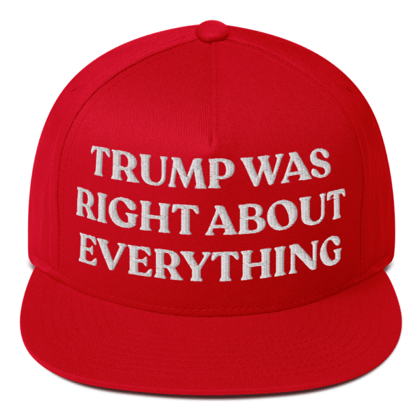 trump was right about everything baseball cap