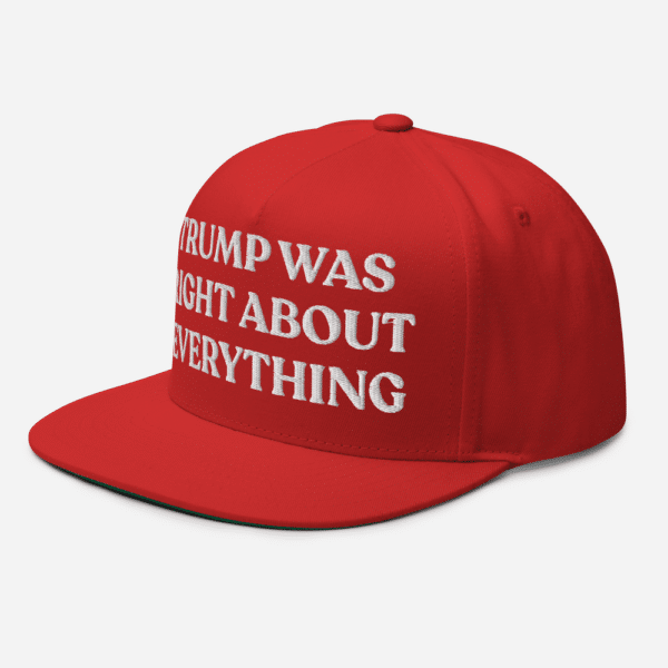 Trump Was Right About Everything Baseball Cap - Image 5